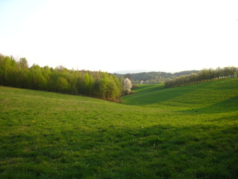 blatusa-livade