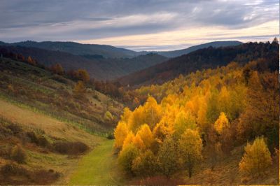 jesen u Žumberku foto: Mario Glavić